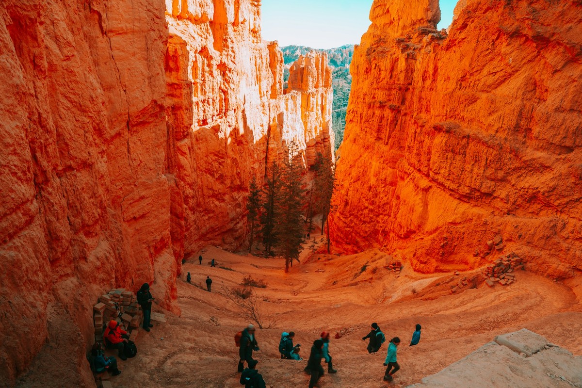 Scenic Guided Tour