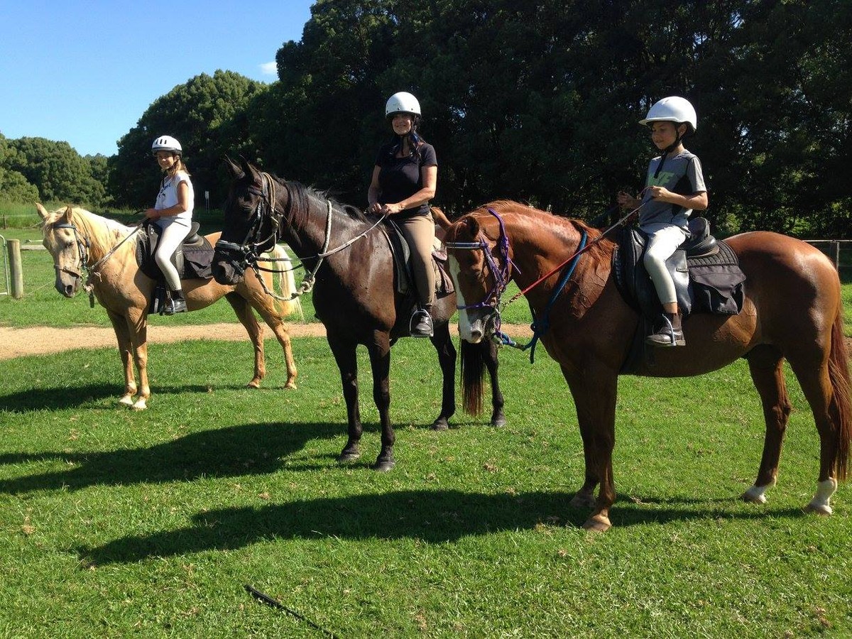 Group Riding Experience